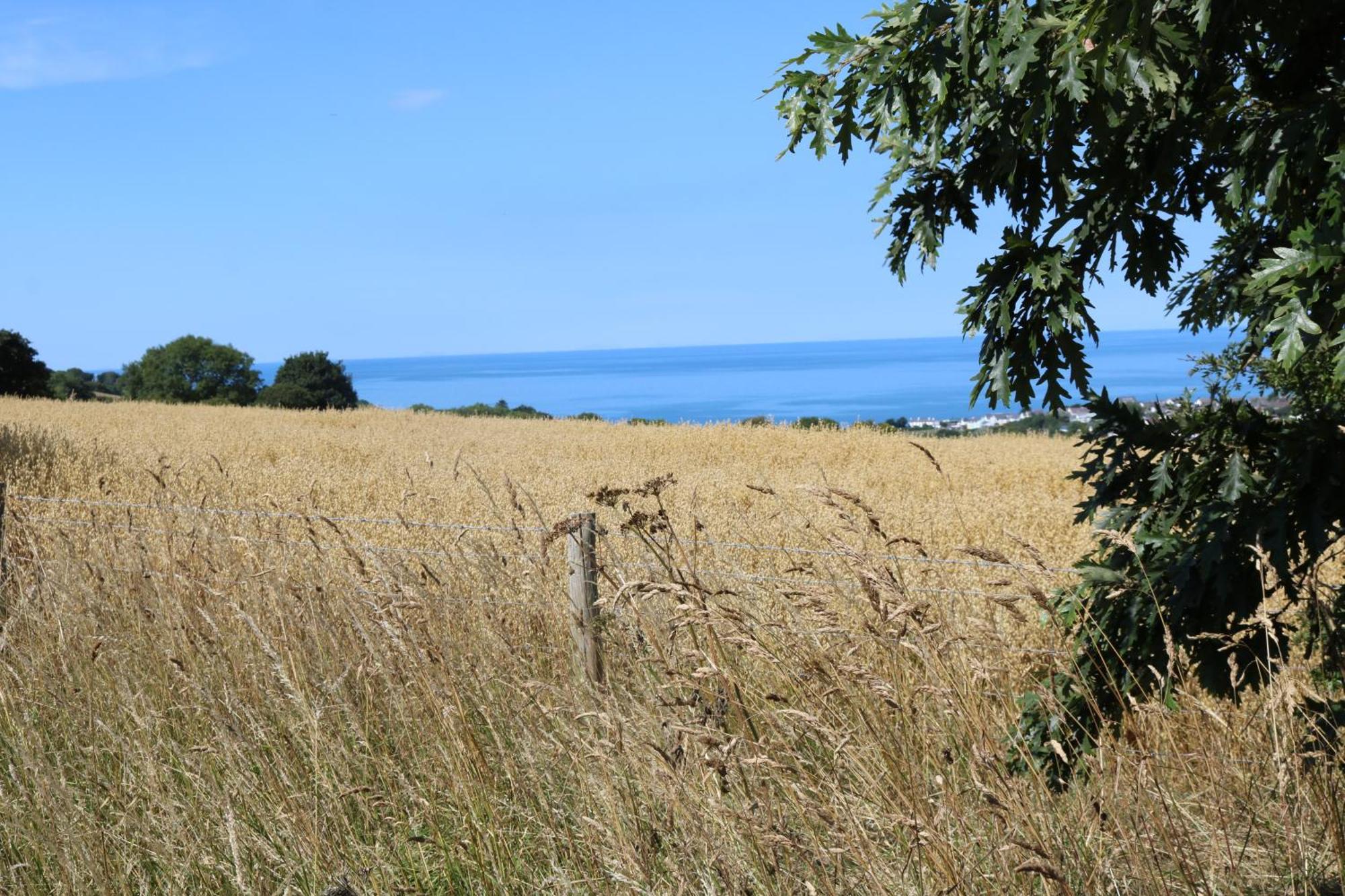 Penlan Coastal Cottages - Cornerstone Aberporth Εξωτερικό φωτογραφία